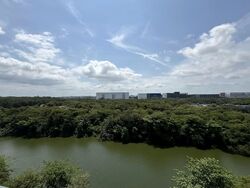 Kingsford Waterbay (D19), Apartment #549491761
